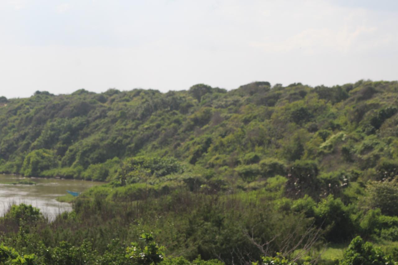 Yala Bay Resort Tissamaharama Exteriör bild